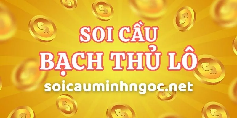 Kinh Nghiệm Soi Cầu Bạch Thủ Lô 2 Nháy Từ Cao Thủ Lô Đề