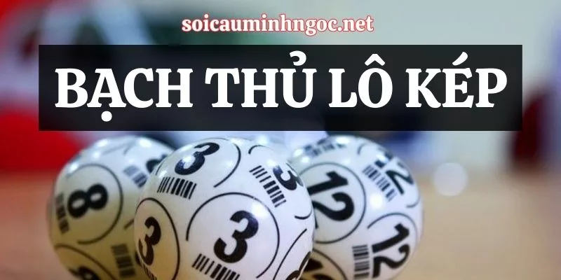 Bí Quyết Chơi Bạch Thủ Lô Kép Hiệu Quả