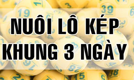 Nuôi lô kép khung 3 ngày 247 bất bại chính xác tuyệt đối