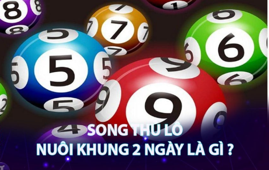 Song thủ lô nuôi khung 2 ngày miễn phí chính xác nhất